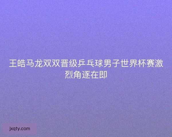 王皓马龙双双晋级乒乓球男子世界杯赛激烈角逐在即 王皓马龙双双晋级乒乓球男子世界杯赛激烈角逐在即